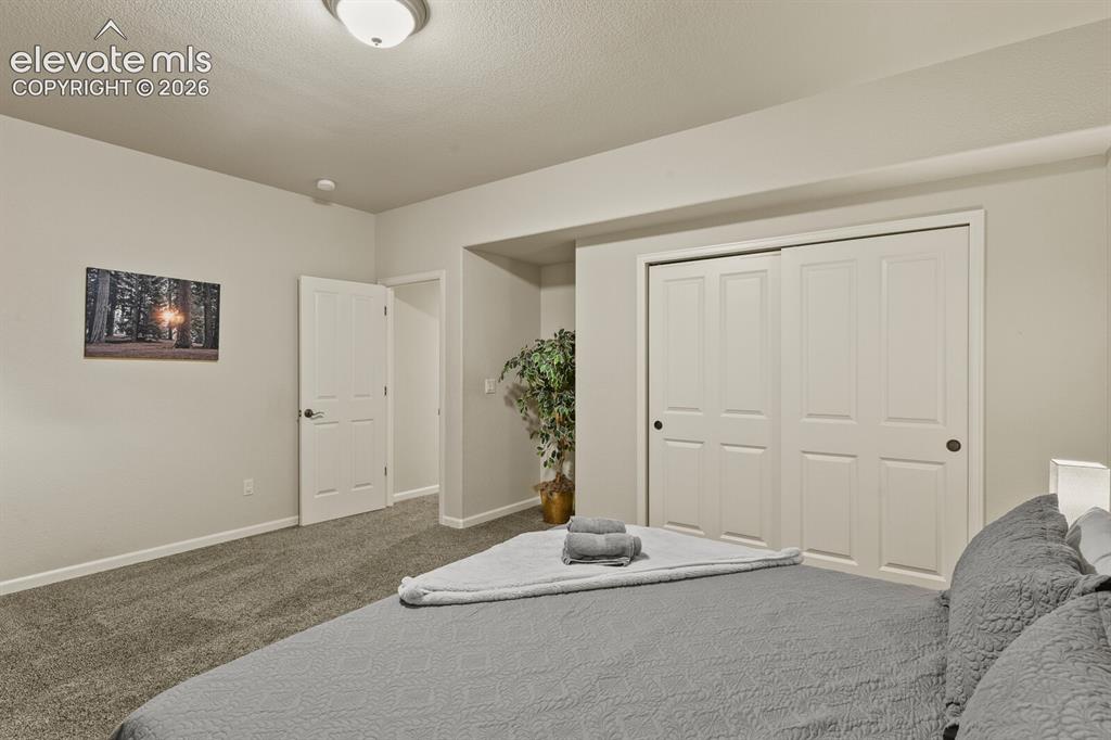 Image 41 of 47: Carpeted bedroom featuring a flush mount ceiling light, an interior paneled