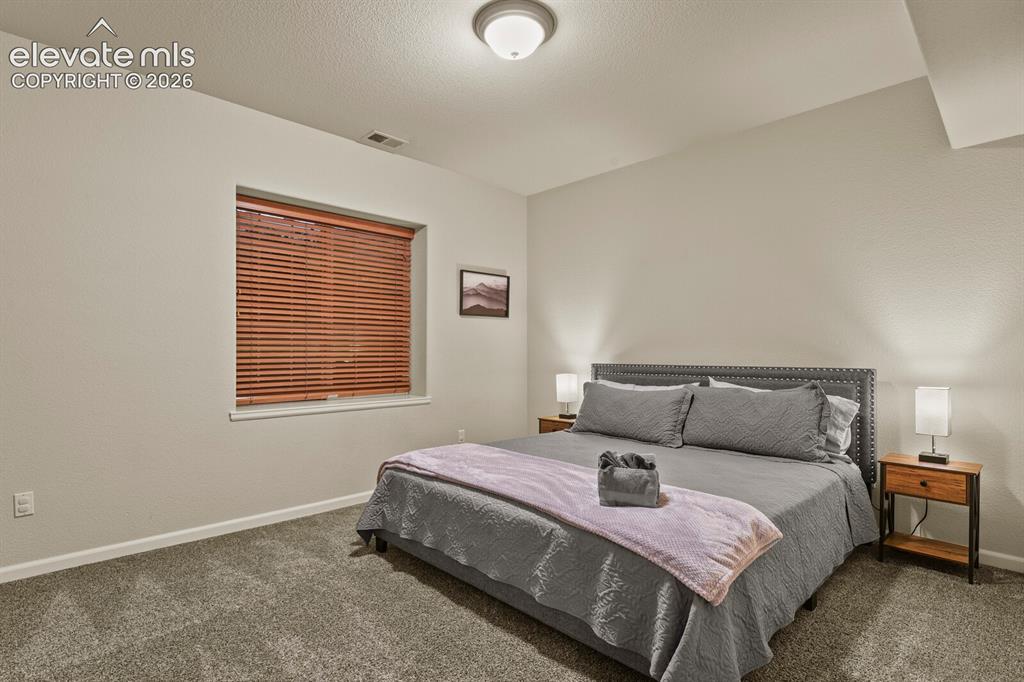 Image 43 of 47: Carpeted bedroom featuring a window with wood blinds, a ceiling-mounted lig