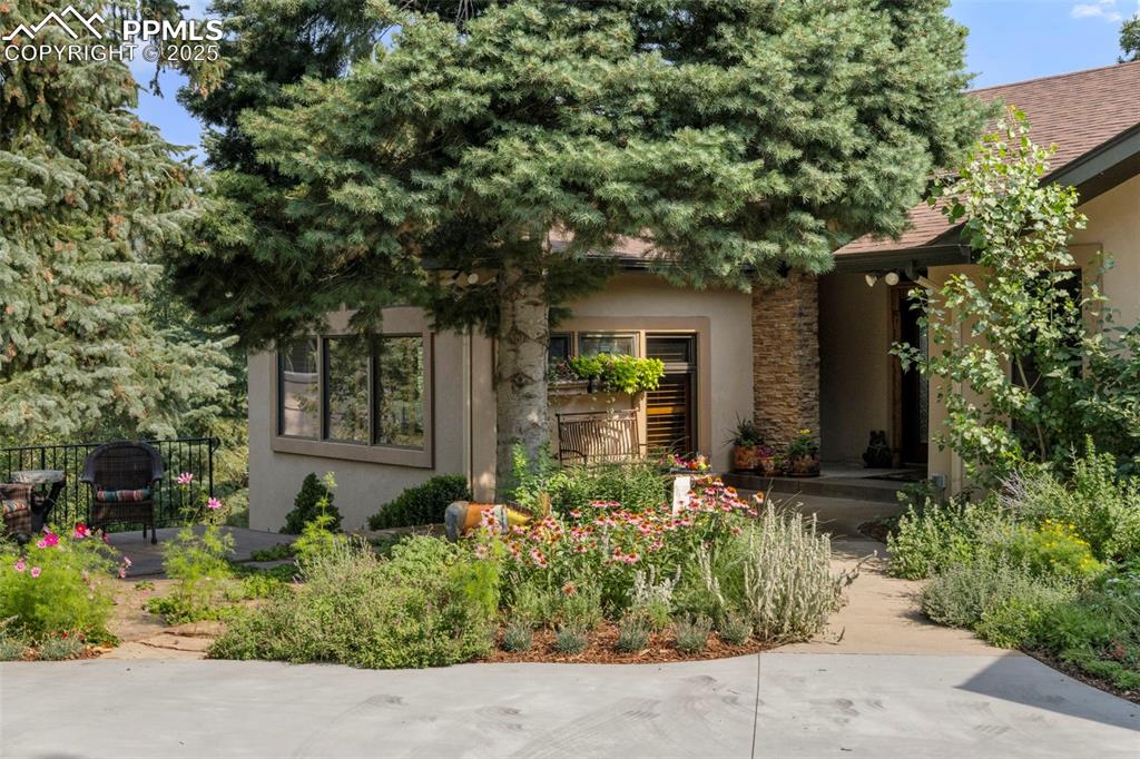 Image 2 of 46: Entry