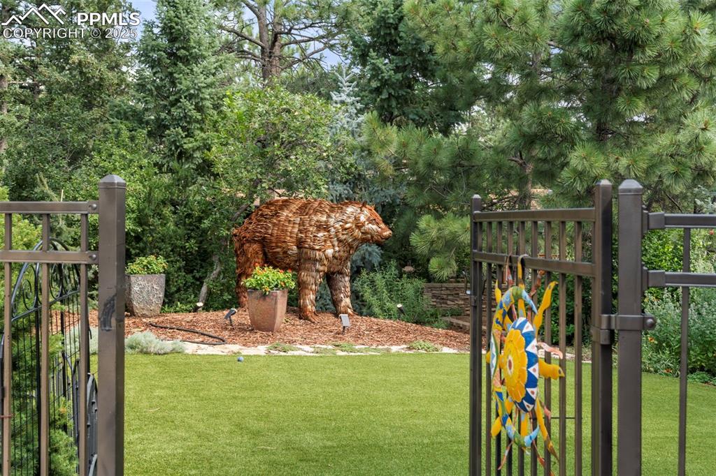 Image 35 of 46: Yard