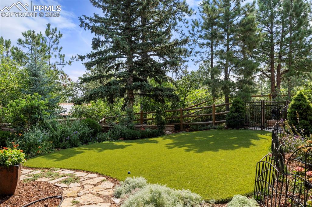 Image 36 of 46: Yard