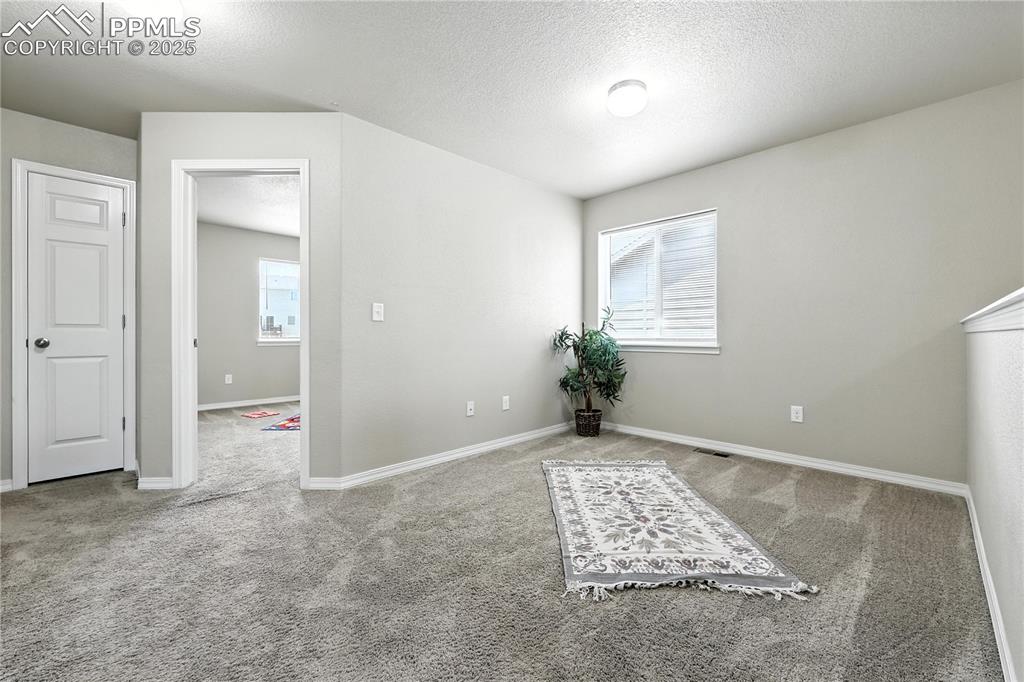 Image 18 of 46: Empty room featuring carpet floors and a textured ceiling