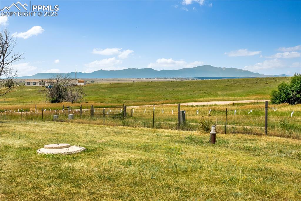 Image 34 of 50: Yard