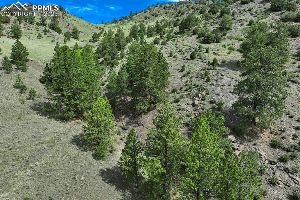 Image 26 of 32: View