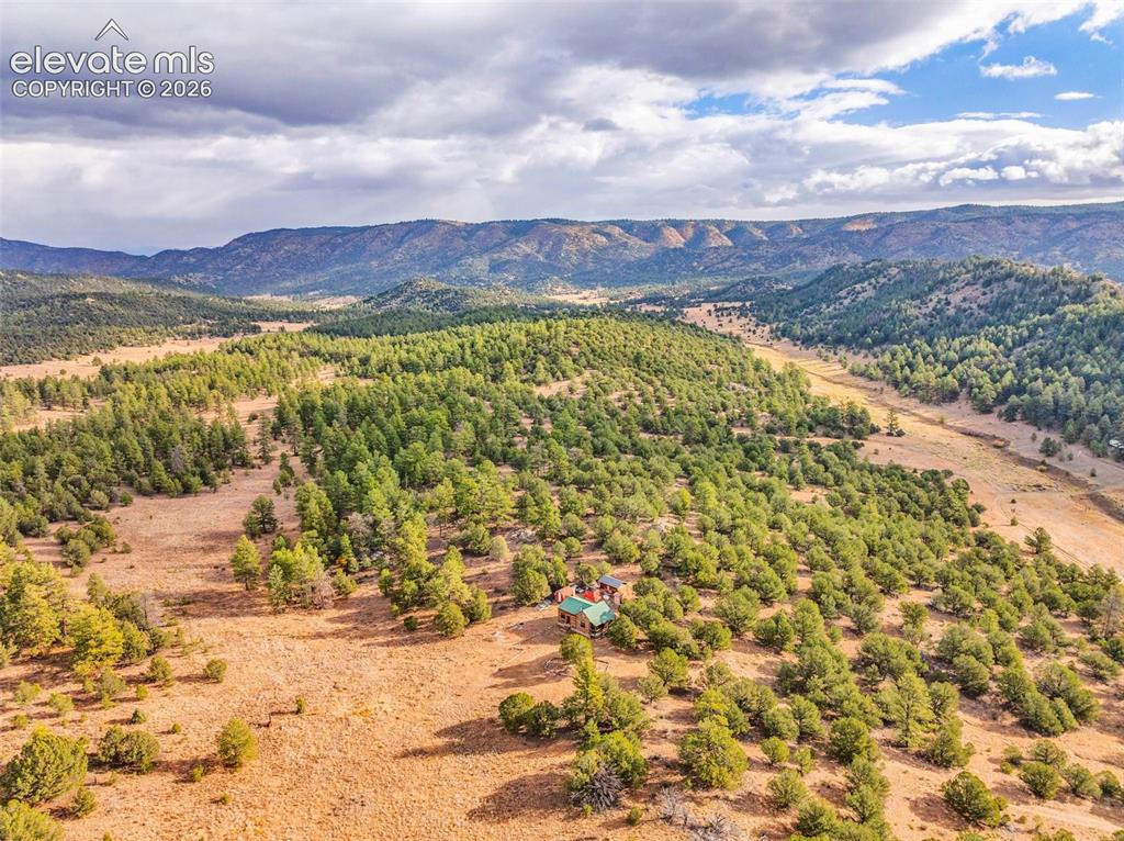 Image 24 of 31: Aerial View
