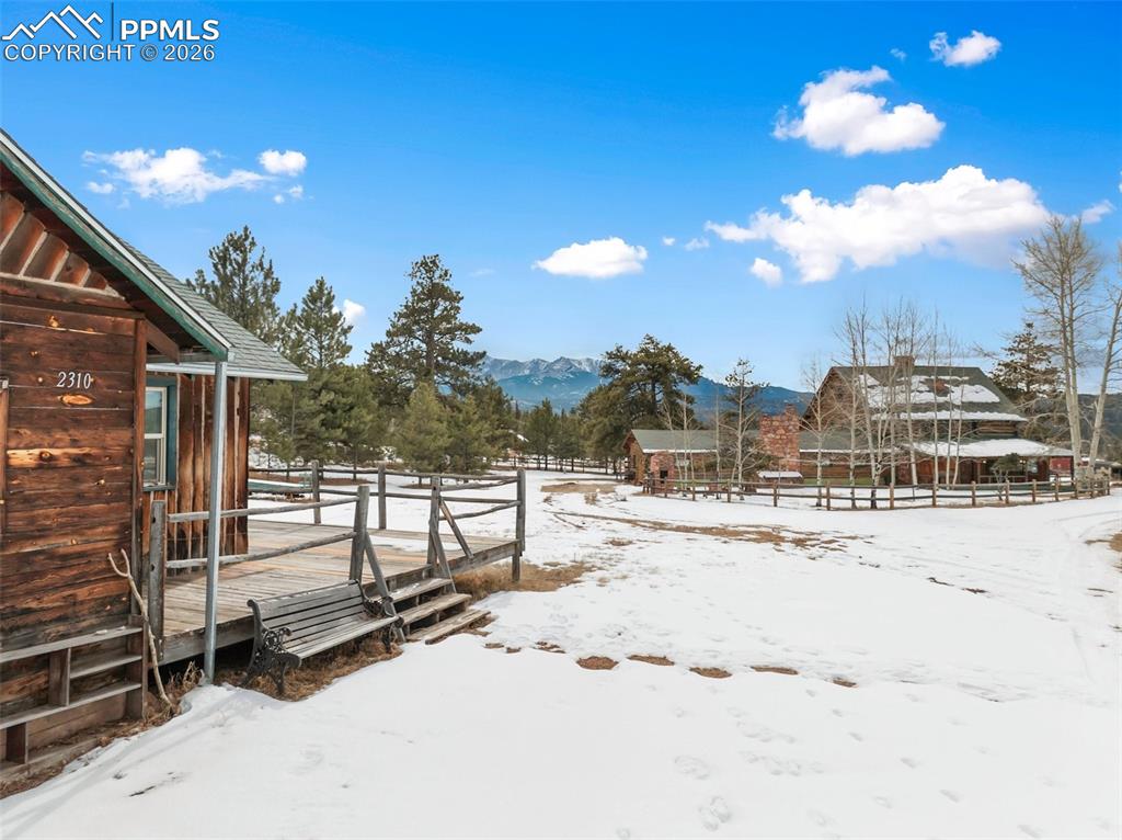 Image 38 of 50: Yard