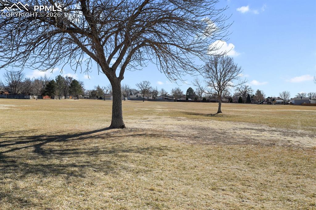 Image 29 of 32: Yard