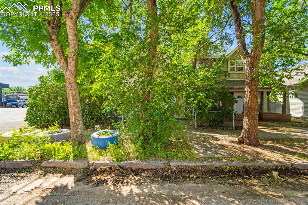 Image 31 of 35: Tree-lined outdoor space offering privacy and shade.