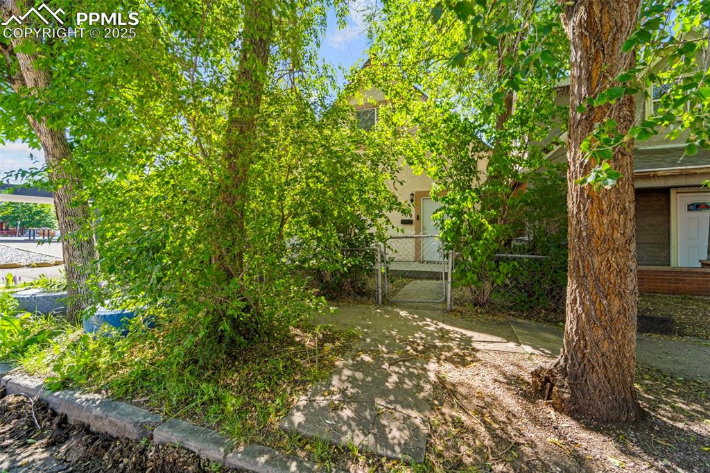Image 32 of 35: Side yard with great potential for outdoor enjoyment.