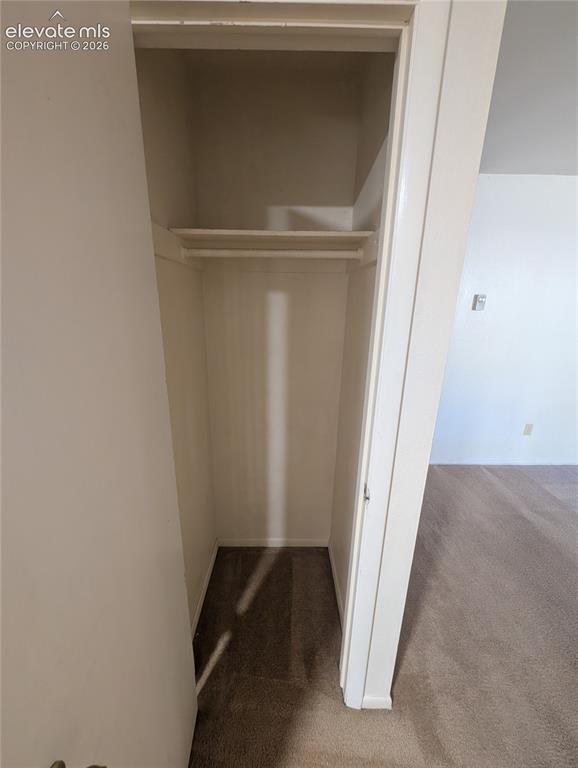 Image 11 of 30: Recessed closet with a single shelf and hanging rod, featuring neutral carp