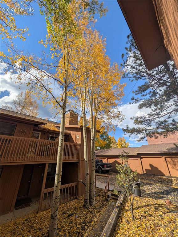 Image 29 of 30: Rustic mountain retreat featuring mature aspen trees with golden fall folia