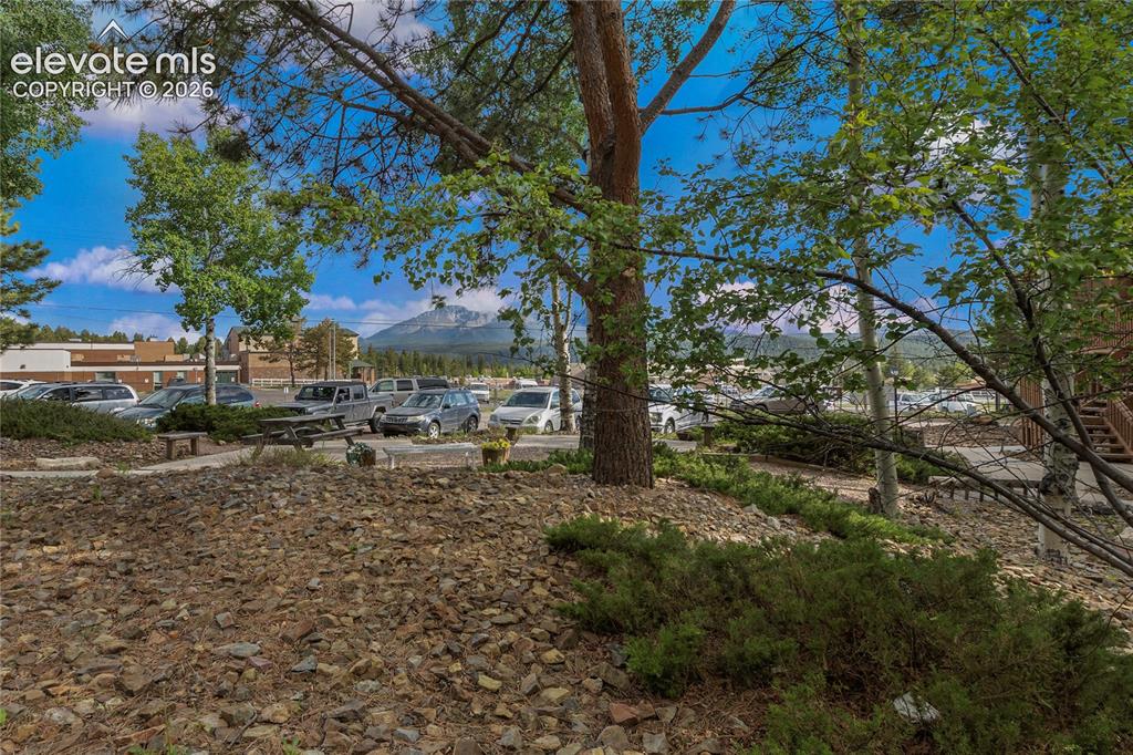 Image 5 of 30: Paved parking area with a picnic table, surrounded by mature trees and natu
