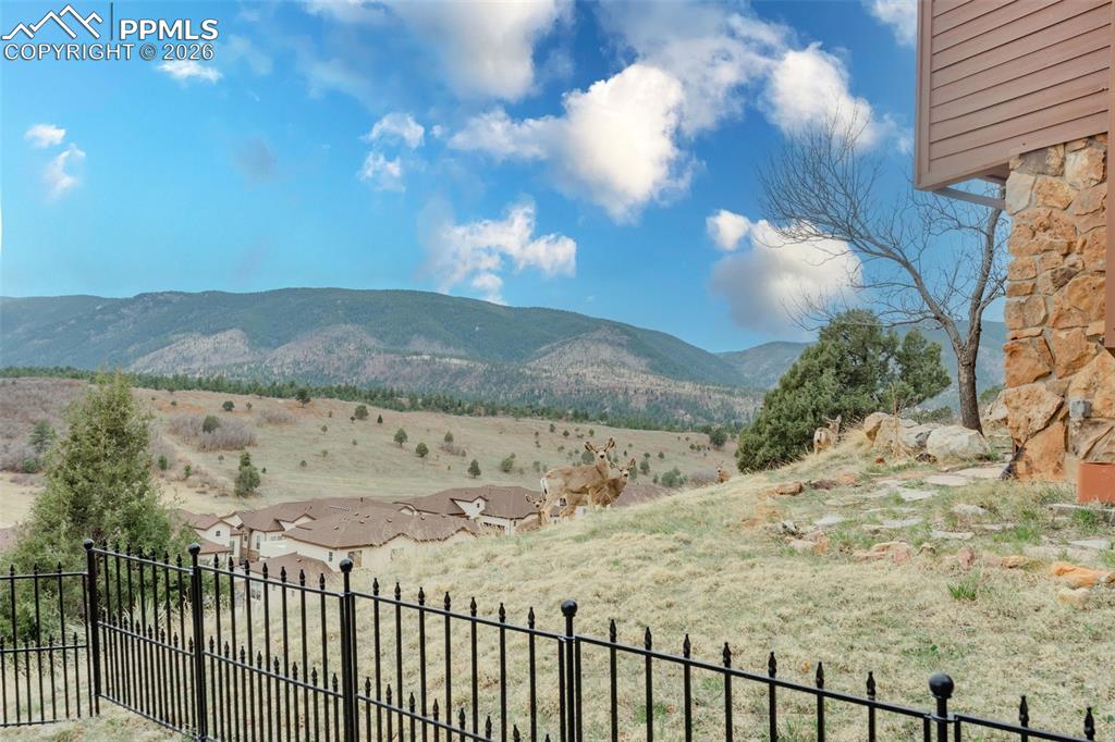 Image 26 of 50: View