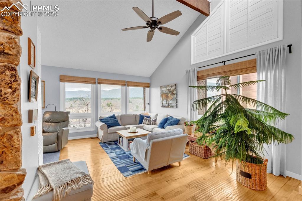 Image 6 of 50: Living Room