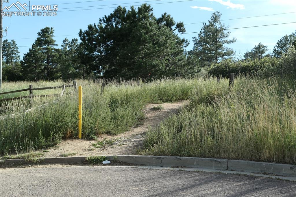 Image 19 of 19: A trailhead leading into 730-acre Palmer Park is a 6-minute drive