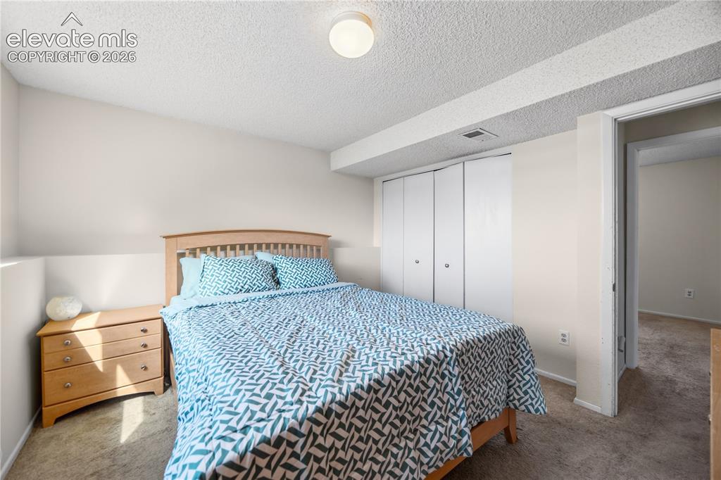 Image 22 of 31: Lower Level Bedroom #3 features an adjoining Shower Bathroom, perfect for g