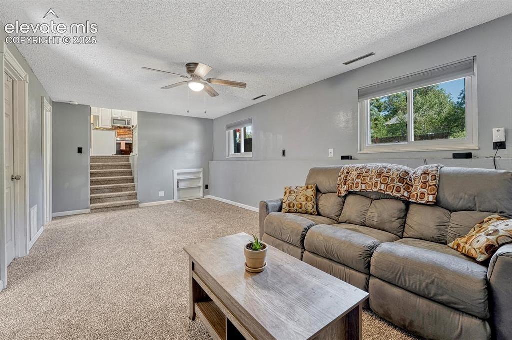 Image 17 of 50: The Lower Level Living Room is spacious with lots of room for a media area,