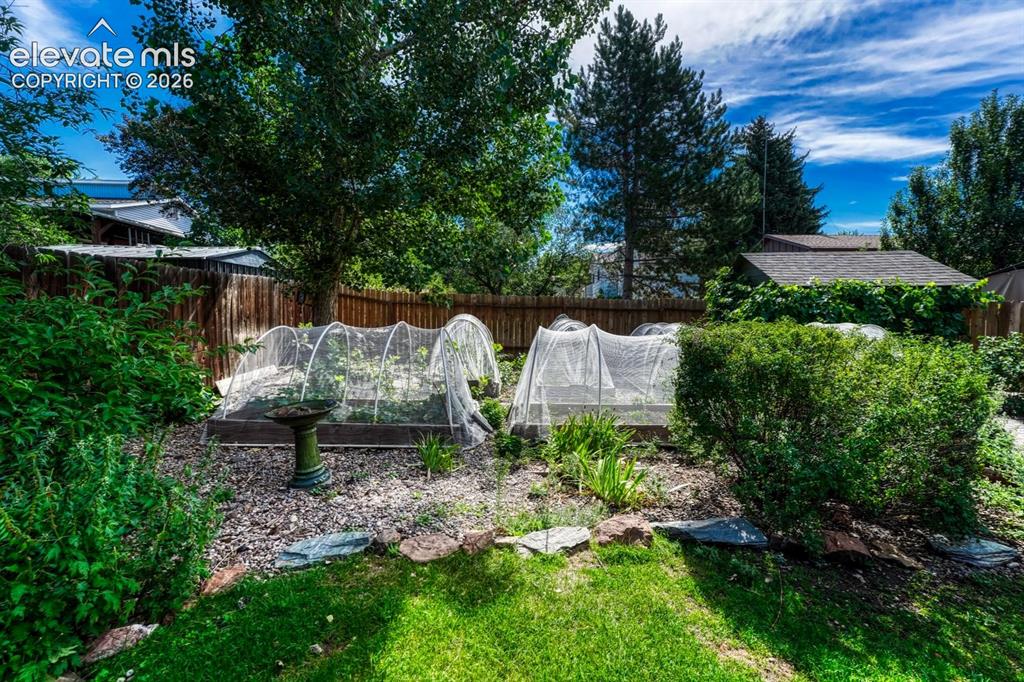 Image 38 of 50: Raised garden beds.