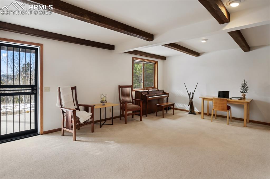 Image 26 of 40: Basement family room with walk out