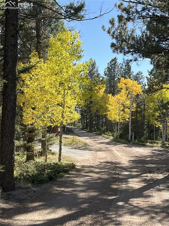 Image 38 of 40: Its the next best thing to a yellow brick road!