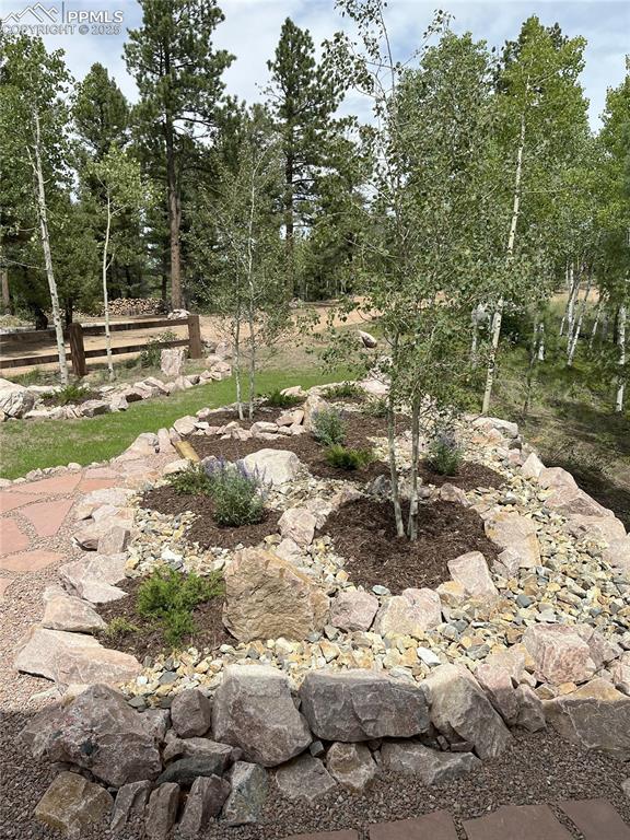 Image 4 of 40: Love this new bed of trees and mountain rocks!