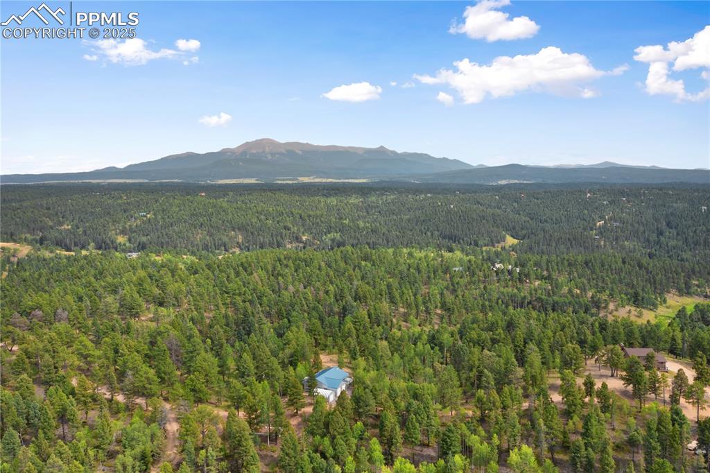 Image 8 of 40: See what I mean?