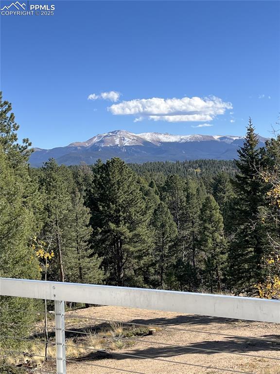 Image 9 of 40: You just can