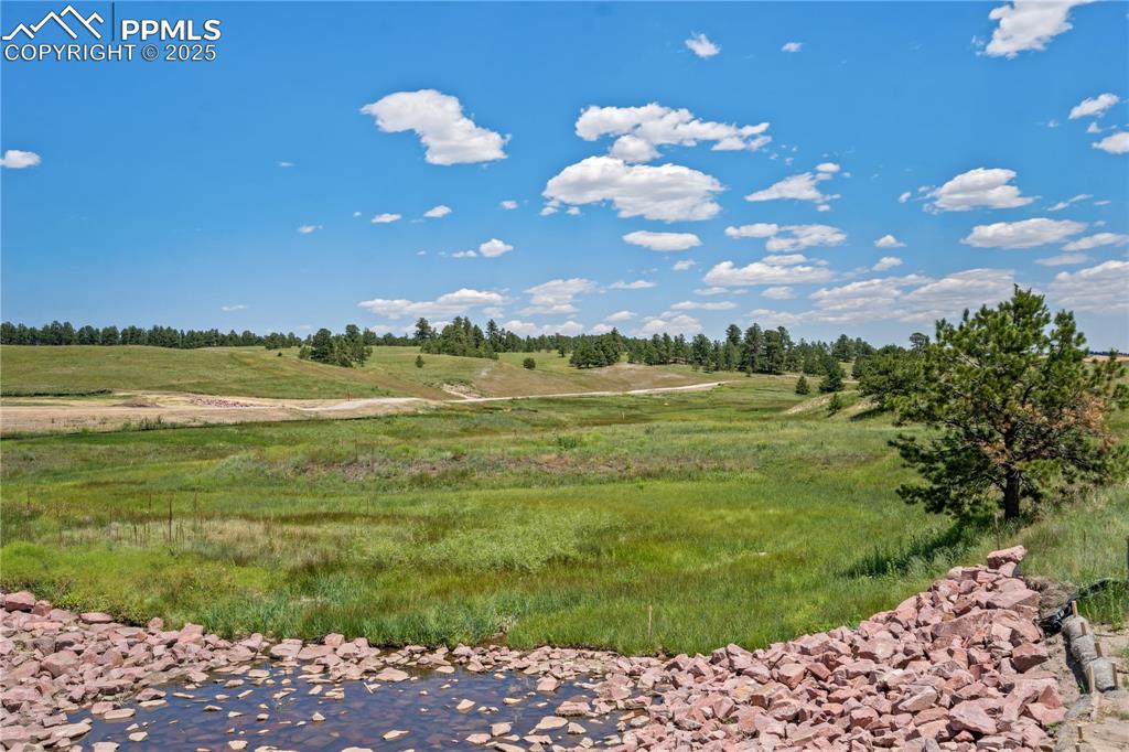 Image 9 of 29: Other