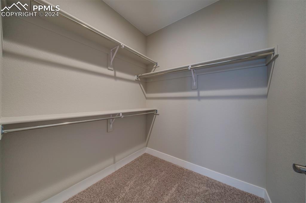 Image 22 of 47: Walk in closet featuring carpet floors
