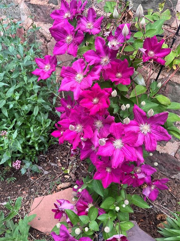 Image 41 of 50: Other
