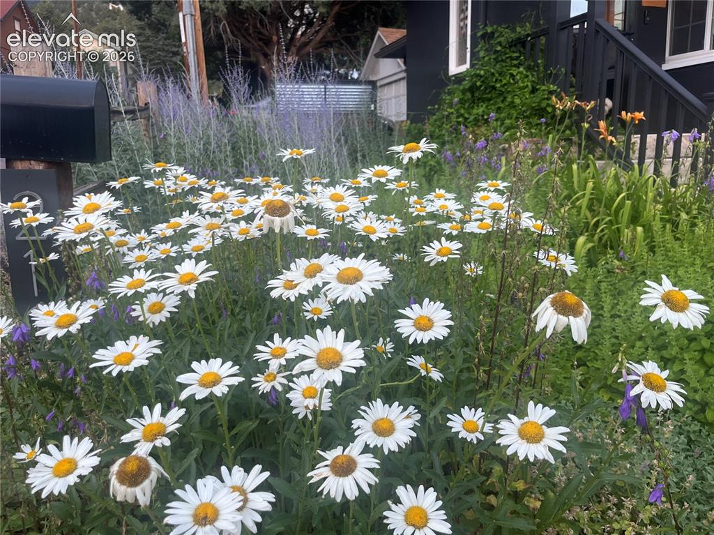 Image 42 of 50: Other