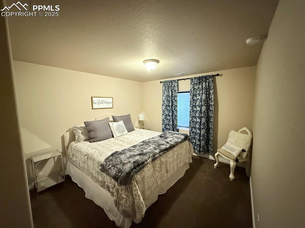 Image 20 of 40: Bedroom in basement featuring dark colored carpet, visible vents, and a tex