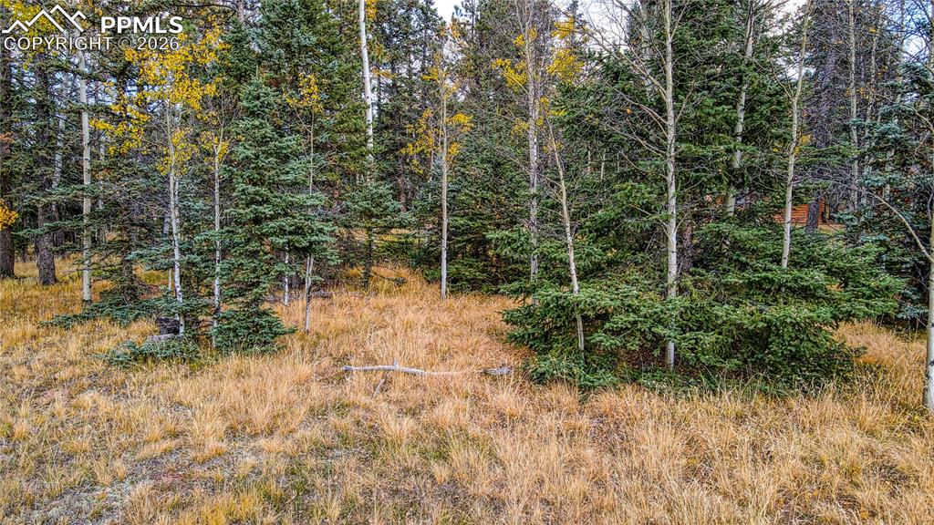 Image 5 of 19: Other