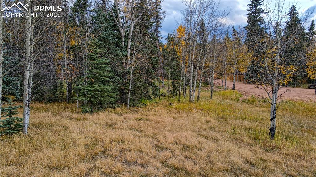 Image 6 of 19: Other
