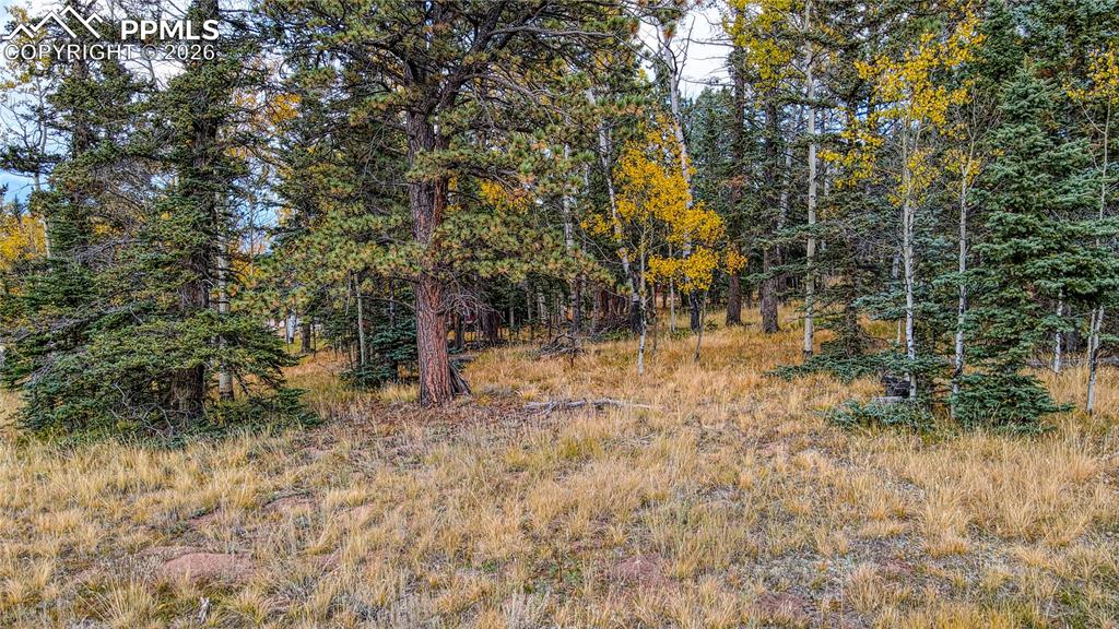 Image 8 of 19: Other