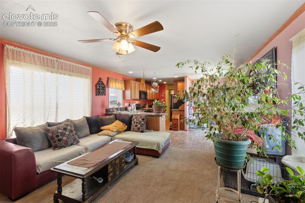 Image 4 of 19: Living Room