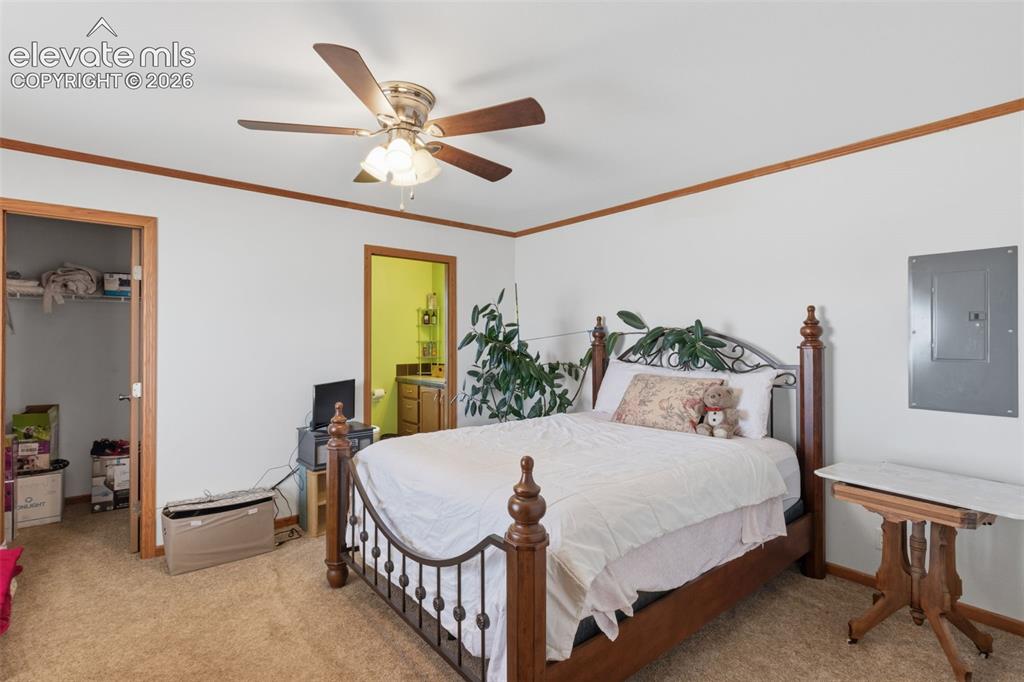 Image 7 of 19: Primary bedroom with walk in closet and attached bathroom
