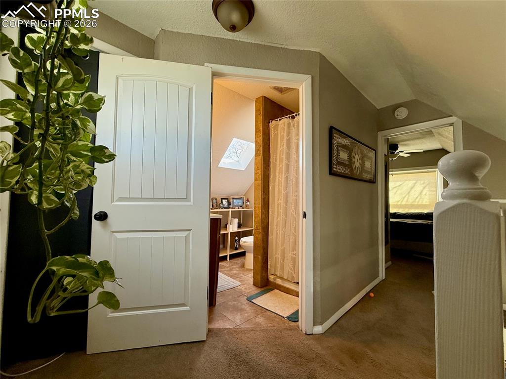 Image 12 of 28: Other