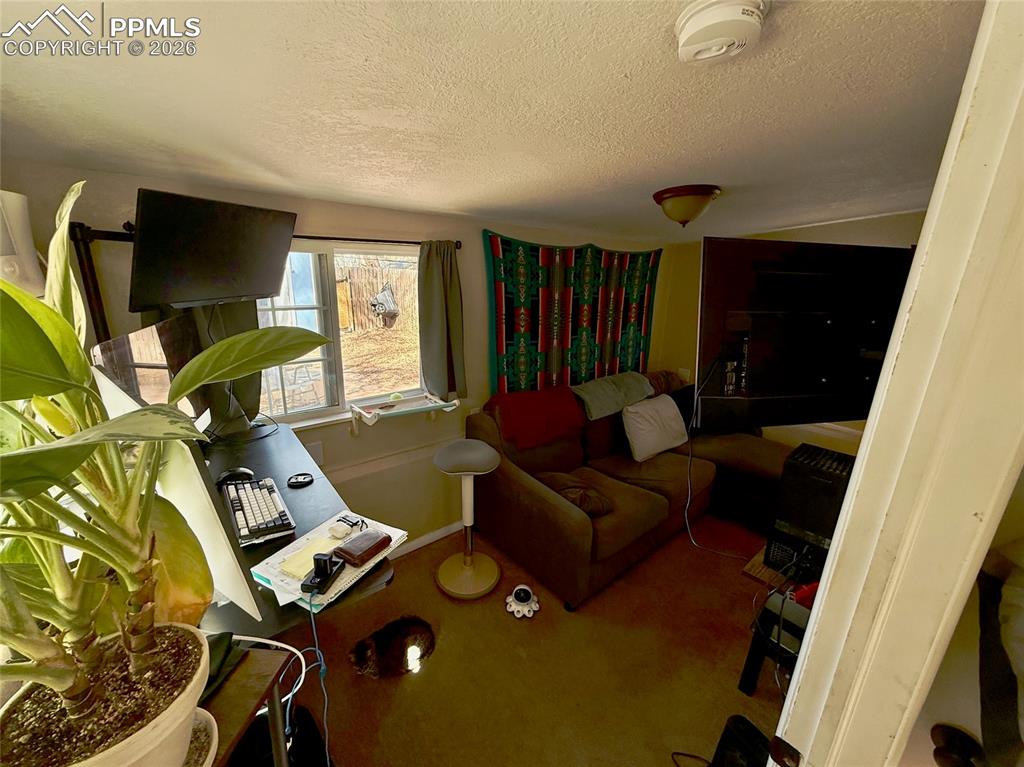 Image 20 of 28: Living Room