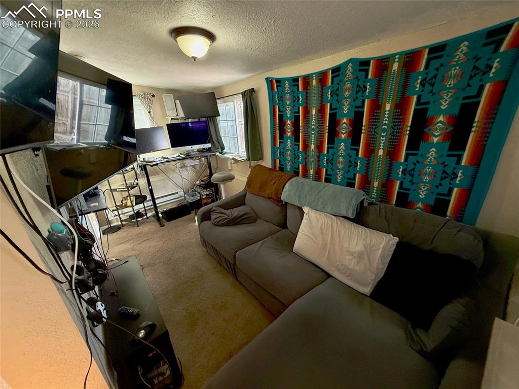 Image 22 of 28: Living Room