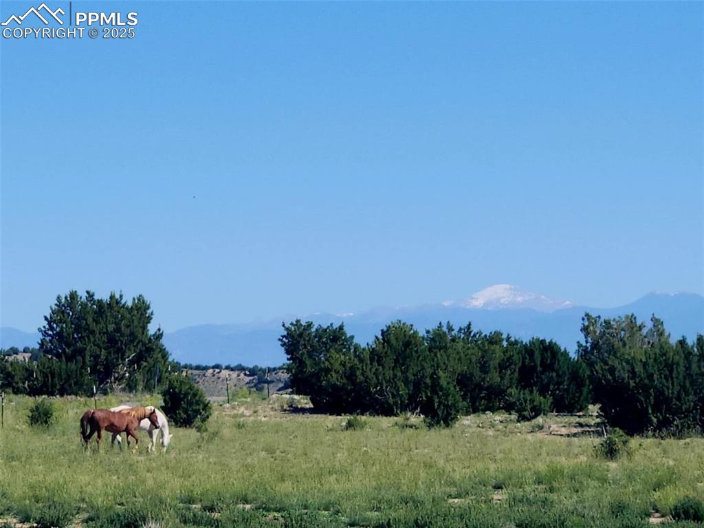 Image 36 of 47: View of mountain backdrop with a pastoral area and rural landscape