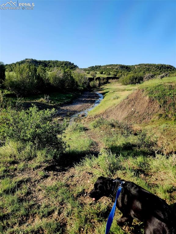 Image 45 of 47: View of nature featuring a nearby body of water
