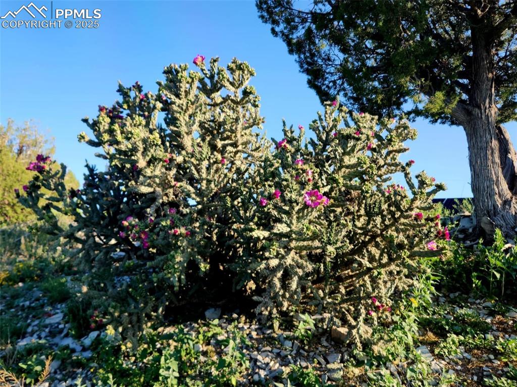 Image 46 of 47: Exterior view