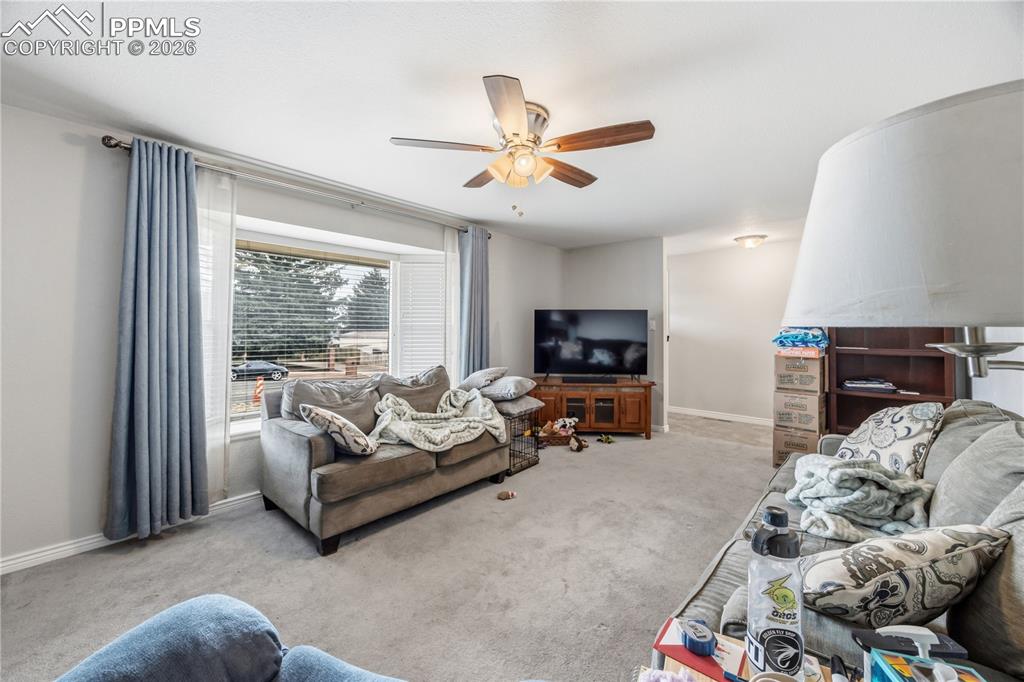 Image 4 of 30: No Description Available