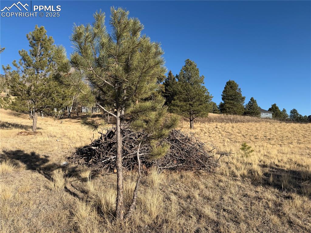 Image 10 of 29: Other