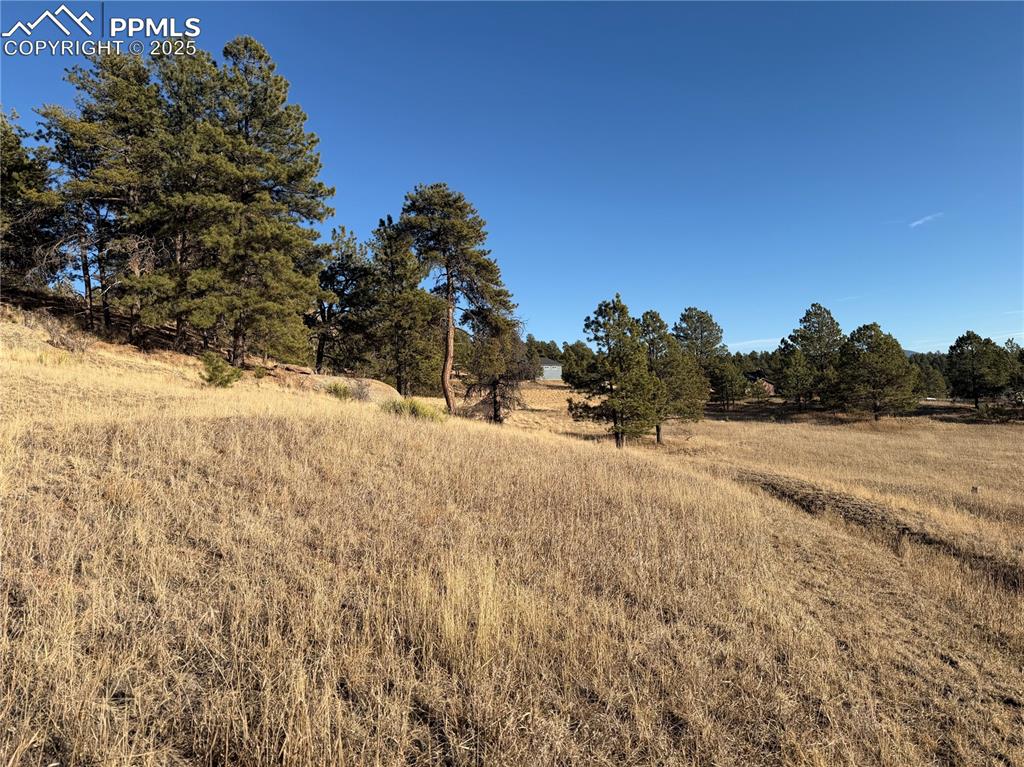 Image 13 of 29: Other