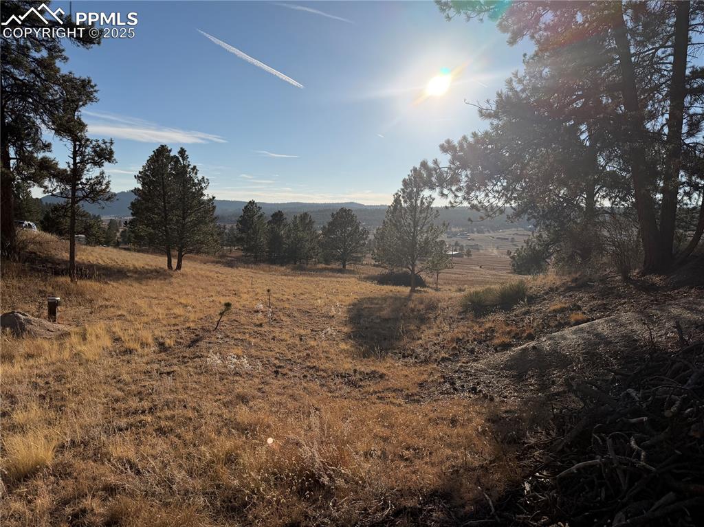 Image 19 of 29: View