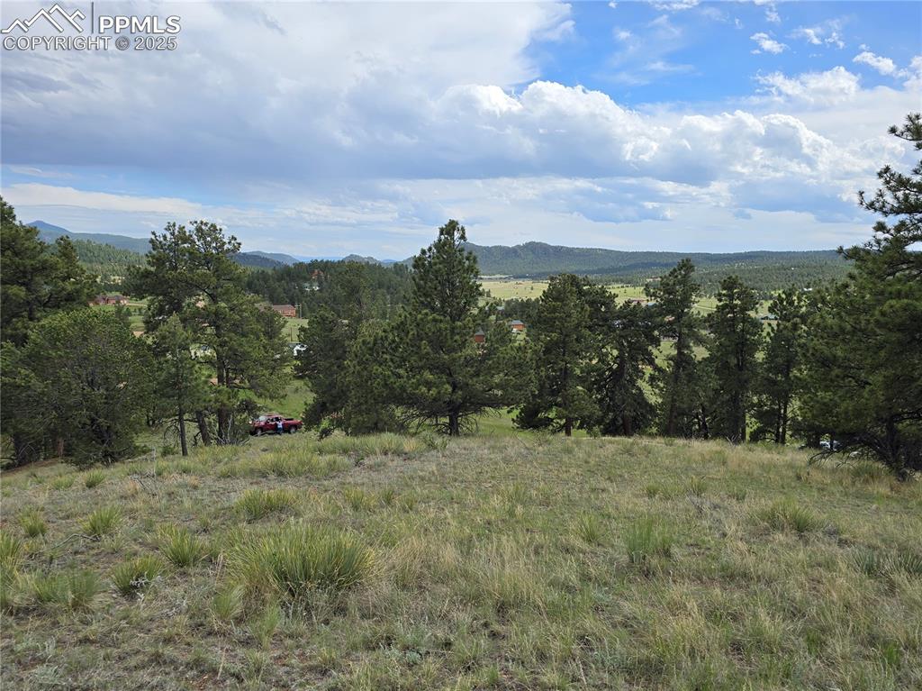 Image 23 of 29: View