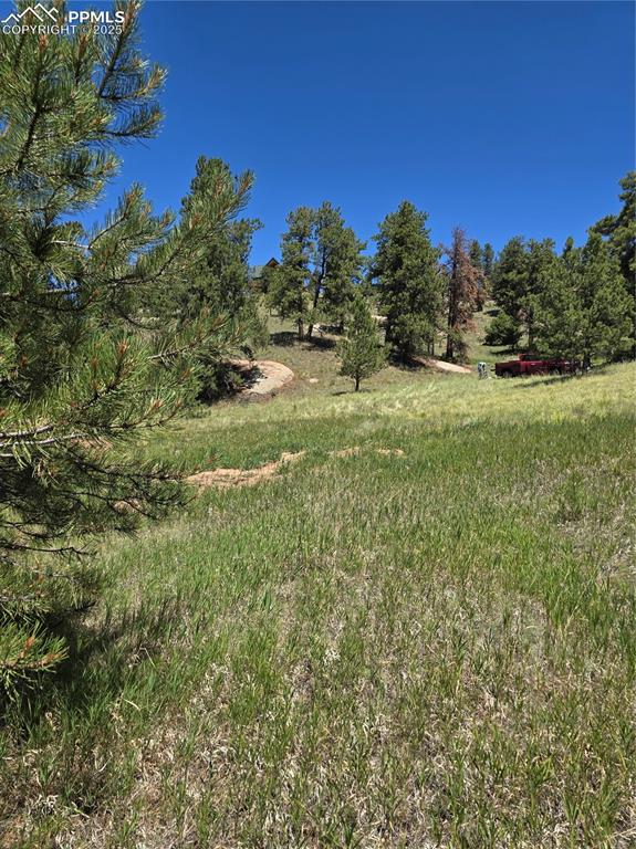 Image 24 of 29: View