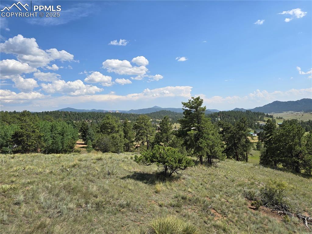 Image 25 of 29: View